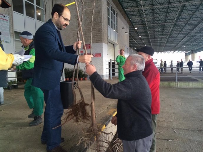 Reparto de árboles en el MNG