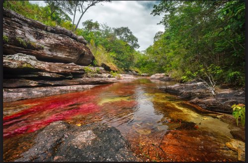 1.cañocristales.jpg