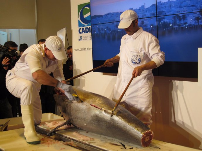 Cádiz presenta el ronqueo del atún en Fitur