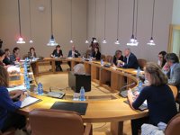 La oposición reitera su rechazo al decreto de universidades y el PPdeG reivindica que la Xunta apoyará a las gallegas