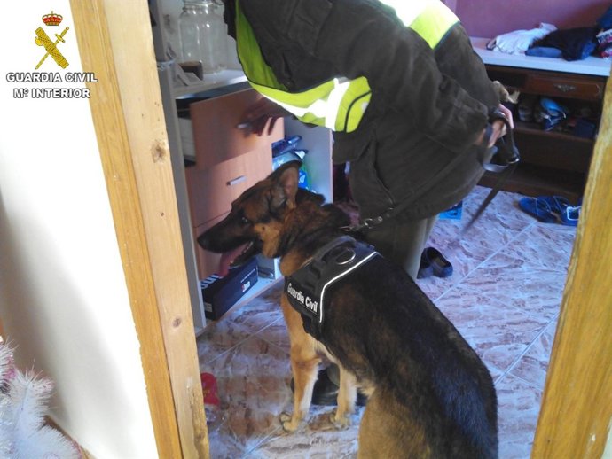 Intervención de la Guardia Civil en Carlet