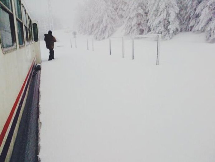 Cercanías en Cotos y Cercedilla