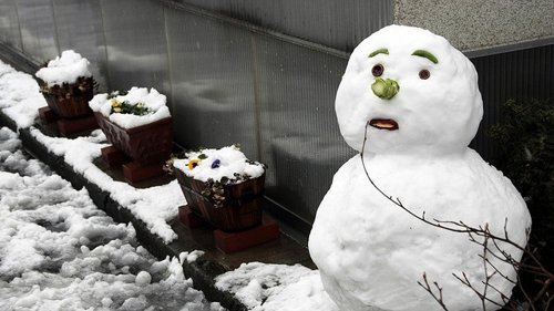 Muñeco de nieve / frío