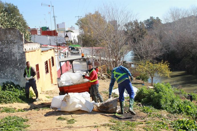 Los trabajos forman parte de la regeneración del barrio de San Miguel. 
