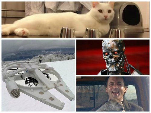 Noticias curiosas de la semana