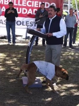 Un perro orina junto al alcalde de Guadalajara