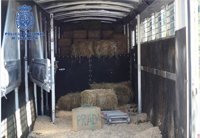 Detienen a cinco personas e intervienen dos toneladas de hachís