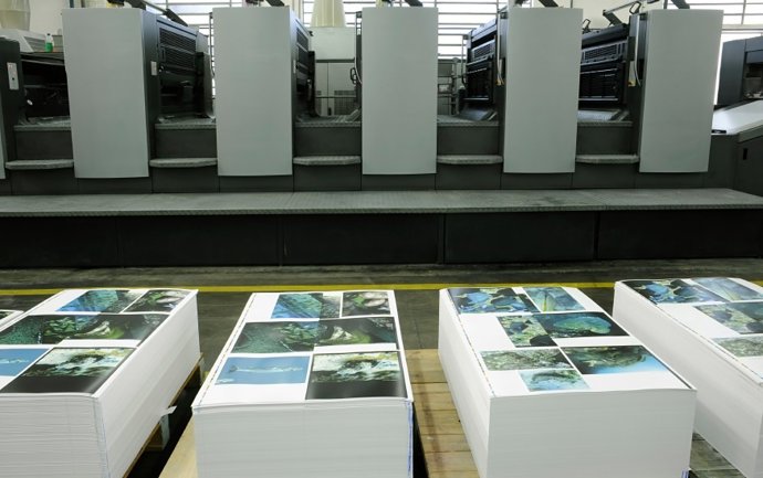 Publicaciones editoriales