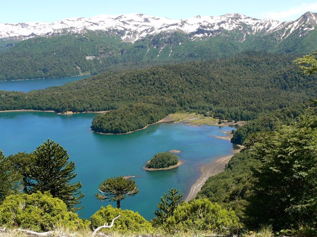 Lago Conguillio parque natural chile