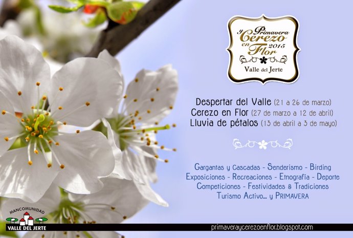 Cerezo en flor