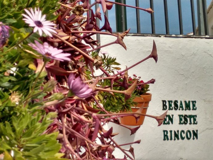 Cartel ruta romántica villanueva de la concepción san valentin amor 