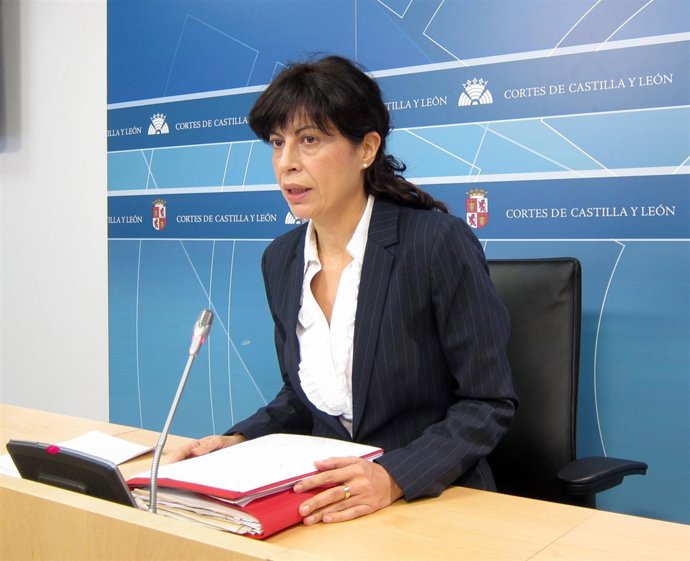 Ana Redondo ofrece una rueda de prensa en las Cortes