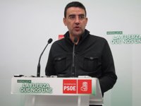 PSOE-A advierte de que no tolerará que Crespo "utilice su posición institucional" para entrar en campaña