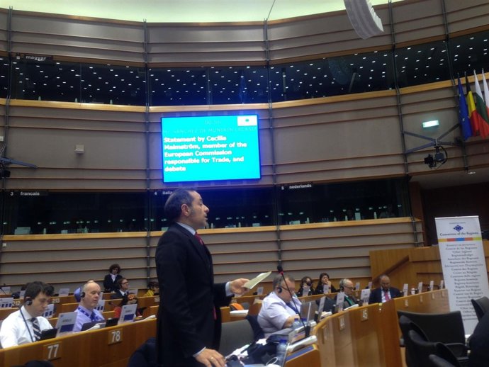 Sánchez de Muniáin en su intervención ante el pleno del Comité de las Regiones.