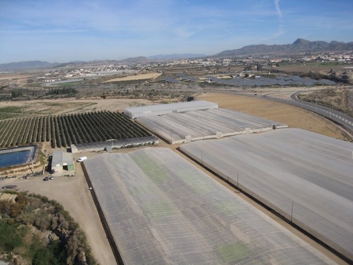 Imagen de invernaderos en Almería