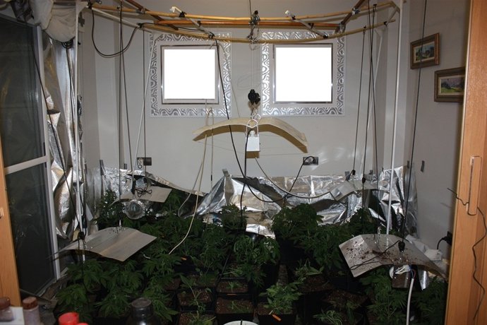 Imagen del invernadero intervenido