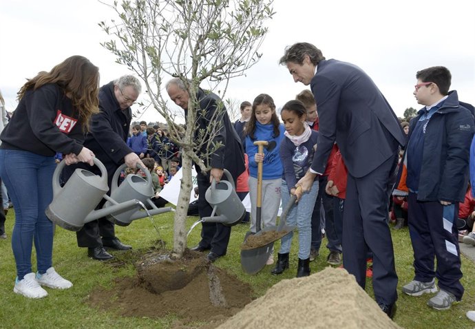 Plantación del olivo en Las Llamas