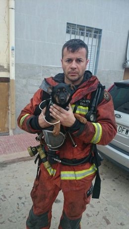 Perro rescatado en el incendio en Albalat de la Ribera