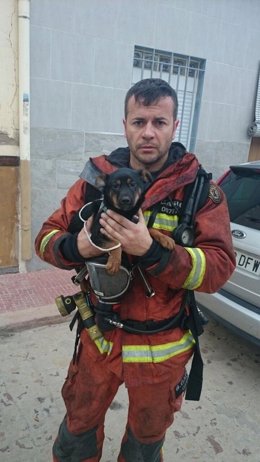 Perro rescatado en el incendio en Albalat de la Ribera