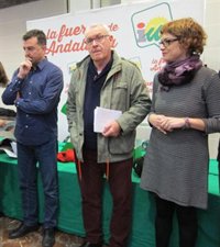 Cayo Lara llama a "cerrar filas" en IU "para ganar el Gobierno" de la Junta de Andalucía