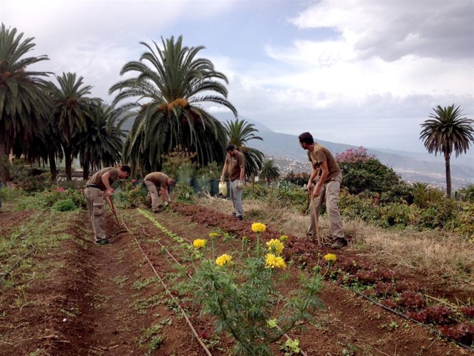 Agricultura ecológica