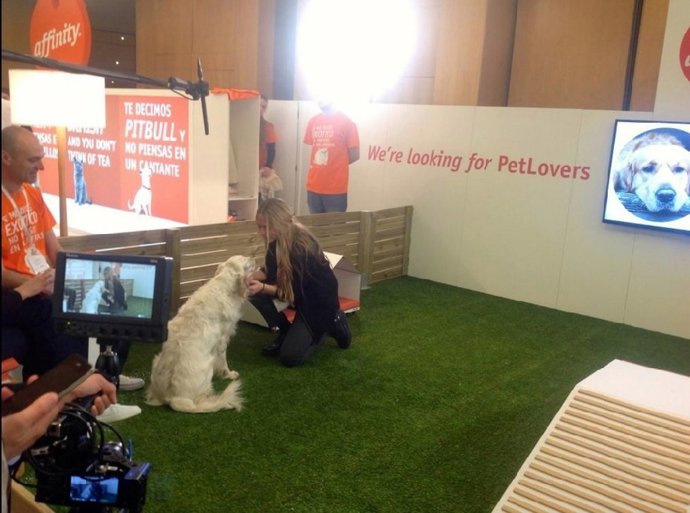 PETLOVERS, TRABAJAR CON AFFINITY