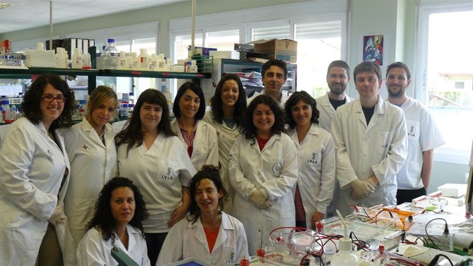 Grupo de investigadores CEU