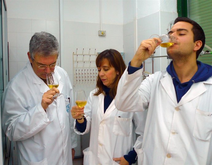 Investigadores de la Universidad de Córdoba catando el vino fino