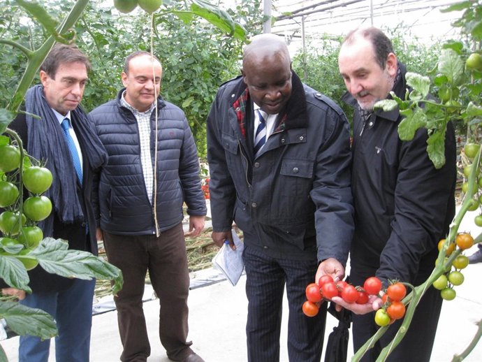 El embajador de Kenia visita un invernadero en Almería
