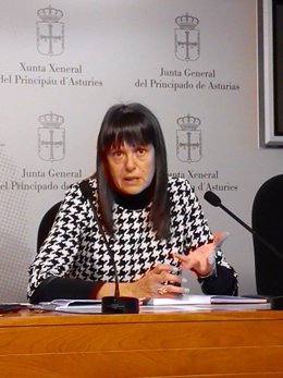 La diputada regional del Partido Popular,  Susana López Ares