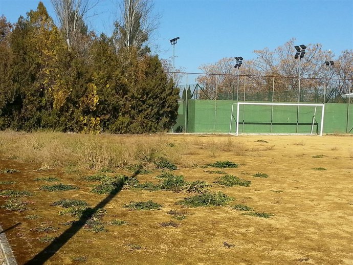 Instalaciones de la UD Cuervo.