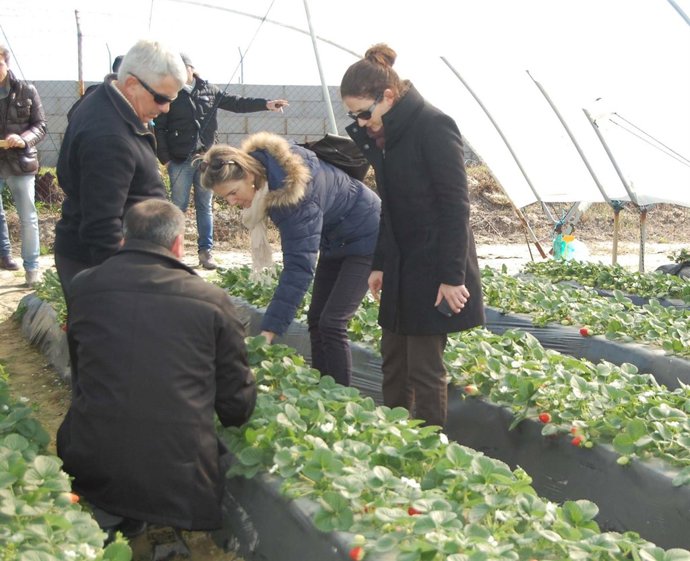 El presidente de Freshuelva, Alberto Garrocho.