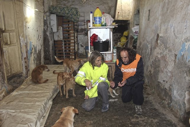 Rescate de 12 perros acogidos por persona con síndrome de Noé