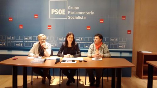 El PSOE se reúne con María Salmerón