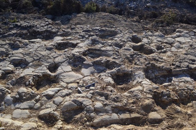 Científicos descubren 50 huellas fosilizadas de dinosaurio en Obón (Teruel)