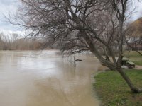 El Ebro alcanza una altura de 4,45 metros y un caudal de 1.581 hectómetros cúbicos en la capital