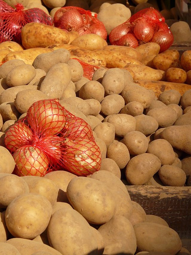 cebollas y patatas.jpg