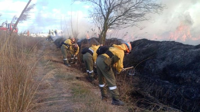 Labores de extinción en la marjal de Rafalell i Vistabella