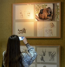 Exposición en el Bioparc