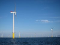 Iberdrola eleva un 7% sus inversiones en I+D+i para centrar esfuerzos en redes y renovables