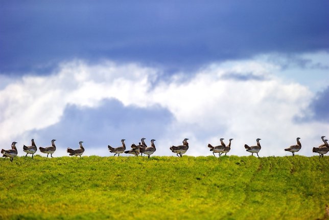 Imagen de la experiencia de enoturismo