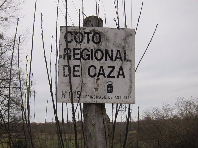 Coto de Caza en Asturias