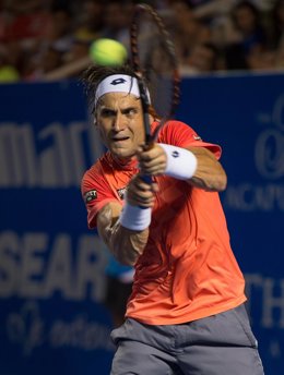 David Ferrer en el torneo de Acapulco