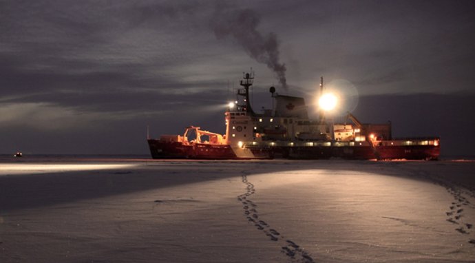 Bacterias del océano polar ártico expresan una proteína fotoactiva incluso cuand