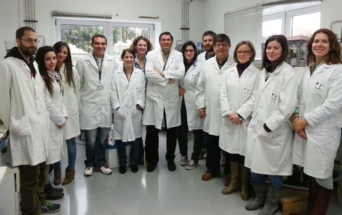 Investigadores del Grupo Nuevos Materiales Inorgánicos de la UMA