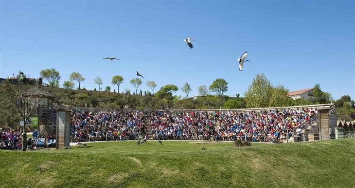 Vuelo de Rapaces en Sendaviva.