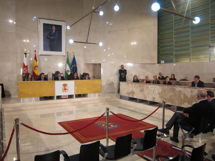 Pleno extraordinario por la muerte de Santiago Martínez Cabrejas
