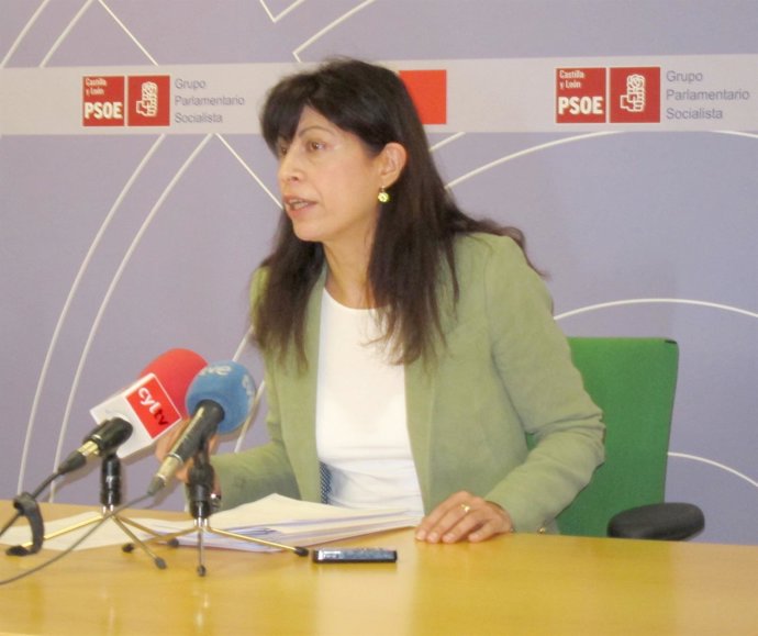 La portavoz del Grupo Municipal Socialista, Ana Redondo