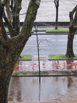 Río Urumea y lluvia acumulada en San Sebastián.