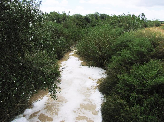 Arroyo Riopudio.